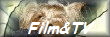 Film&TV
