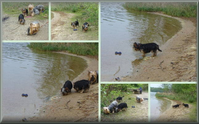 HoJL 10.04.2014 5 k k