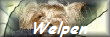 Welpen